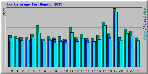 Hourly usage for August 2025